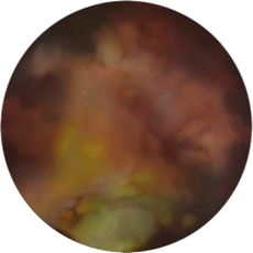 "Blink and you will miss it.”, Öl auf Leinwand, Tondo